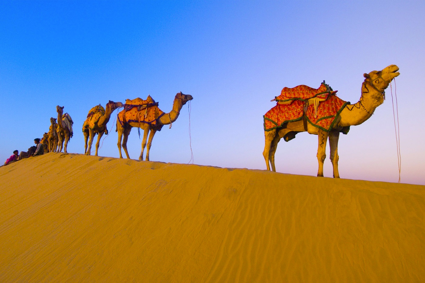 Desert Safari Dubai Tour with TripDezire