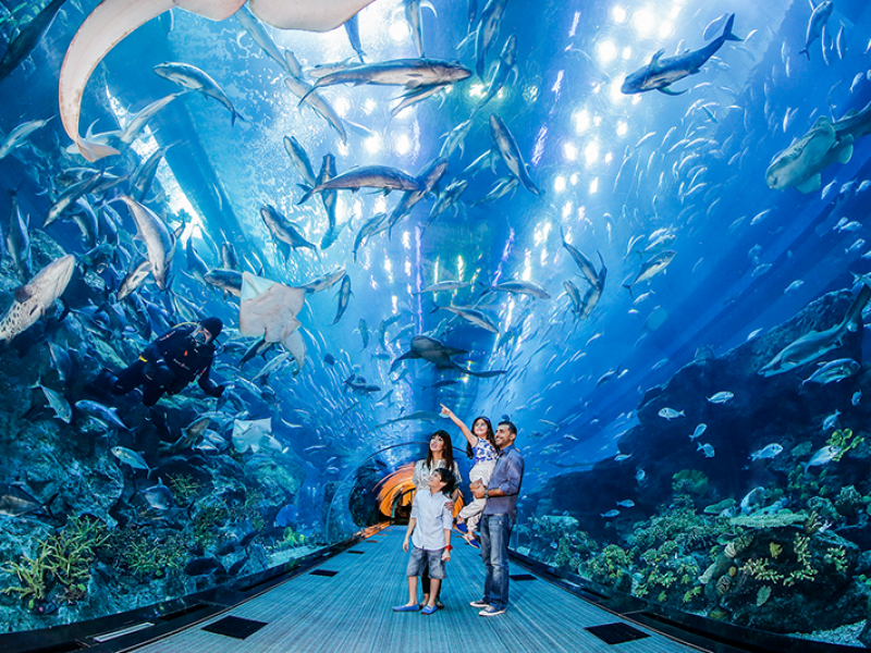 Dubai Aquarium & Underwater Zoo 